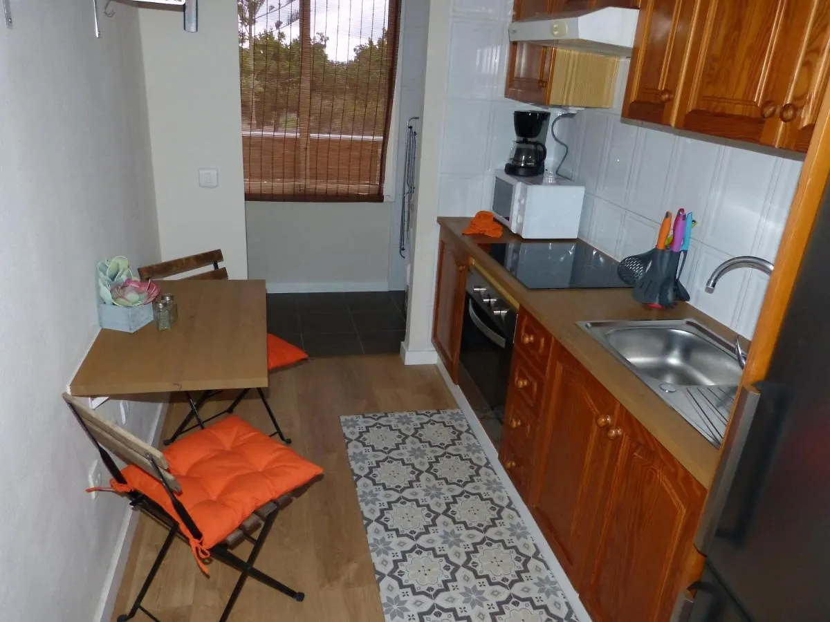 Suncanarias Apartamento Aloe Arona  Apartment